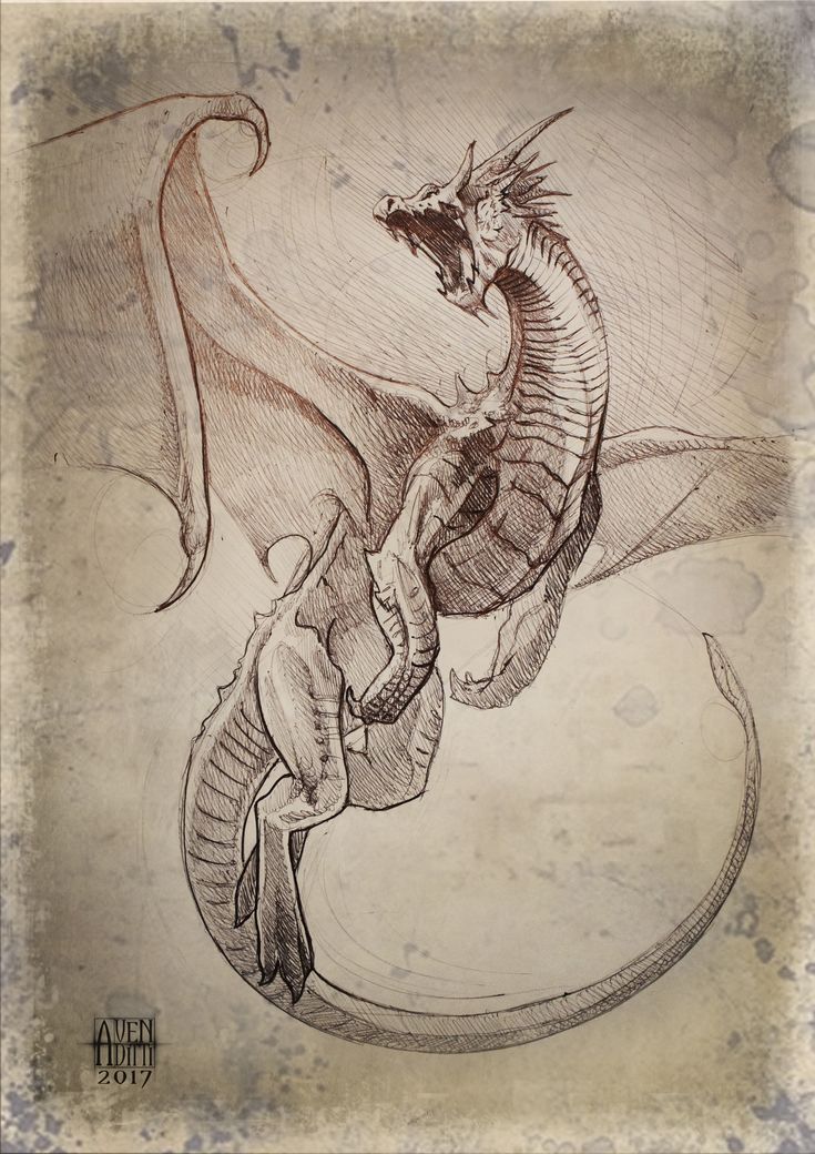 Dragon Flight, Antonello Venditti