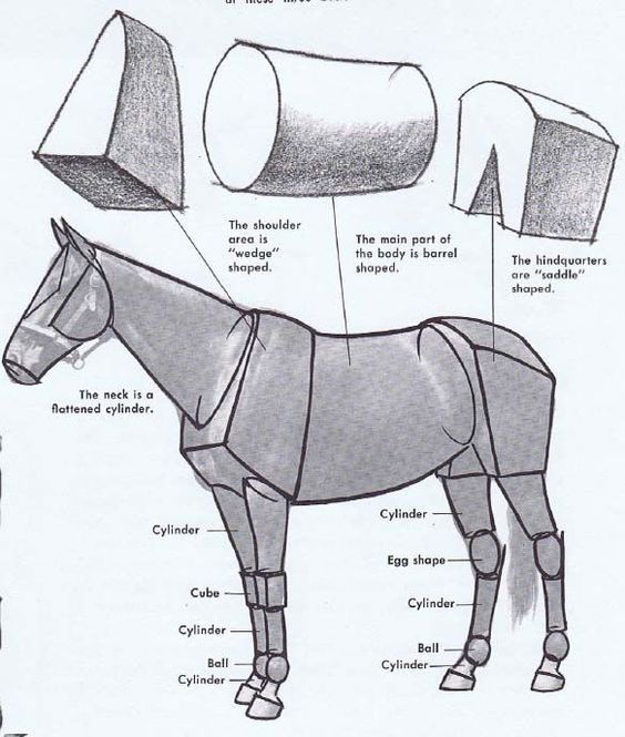 Draw a horse - reference