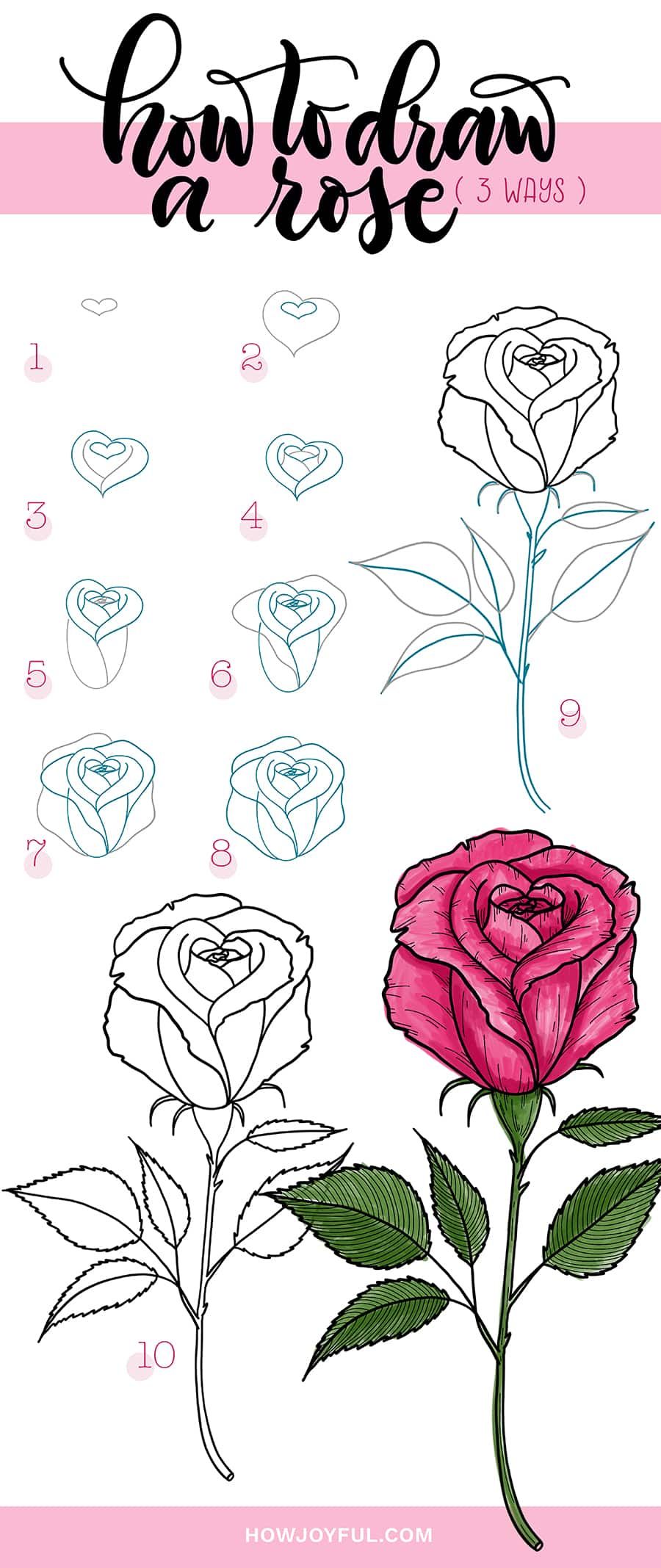 Drawings of roses: How to draw simple roses step by step (4 ways)