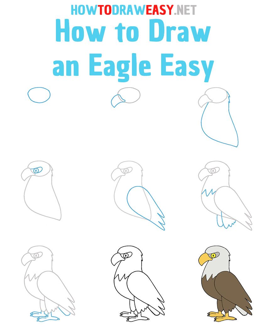Eagle Drawing Tutorial