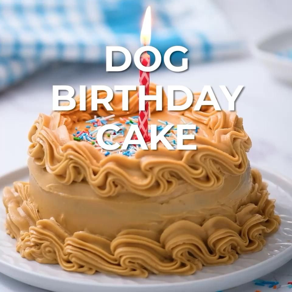 Easy Homemade Dog Birthday Cake Skip To My Lou