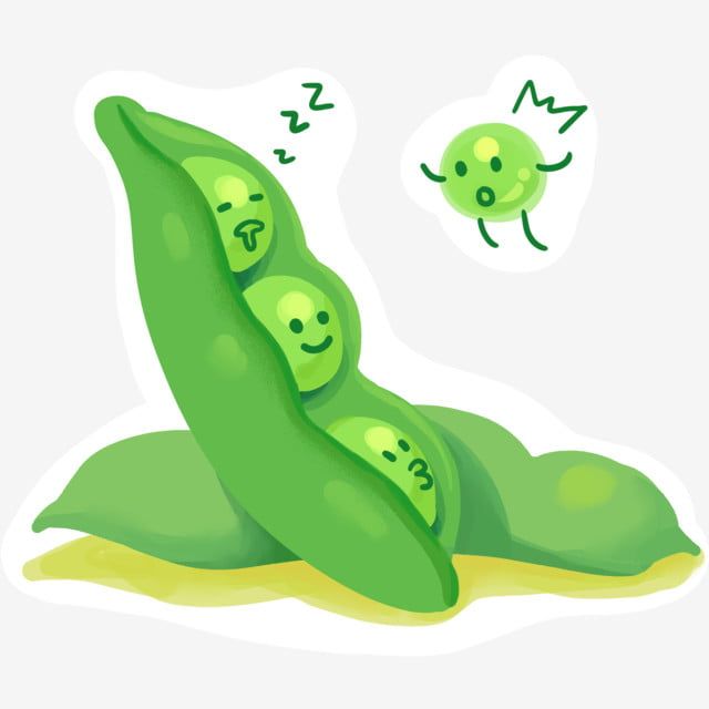 Edamame Hd Transparent Green Beans Vegetables Autumn Cartoon Illustration Edama