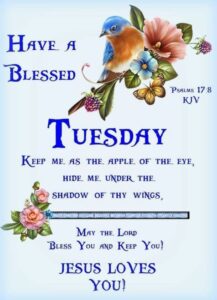 Enjoy These 10 Tuesday Blessings ,, Images And Greetings HD Wallpaper