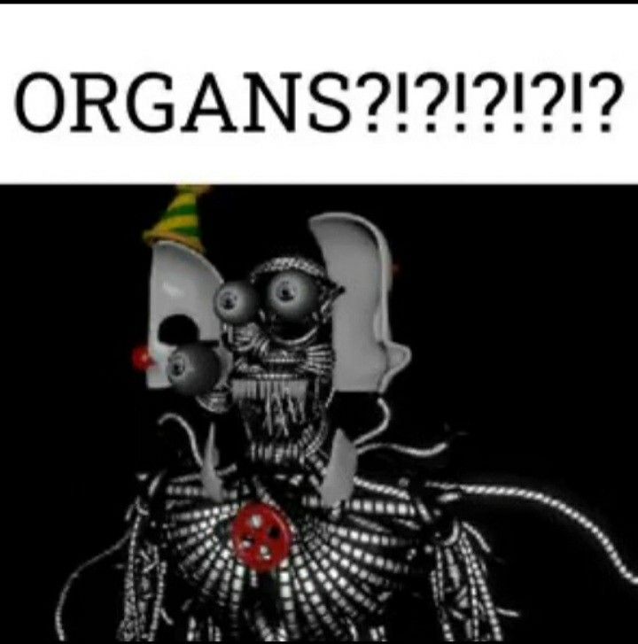 Ennard Fnaf Meme Organs?!??!