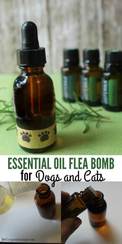 Essential Oil Flea Bomb For Dogs And Cats Pet