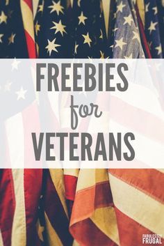 Everything You Need To Know About Veterans Day Plus Tons