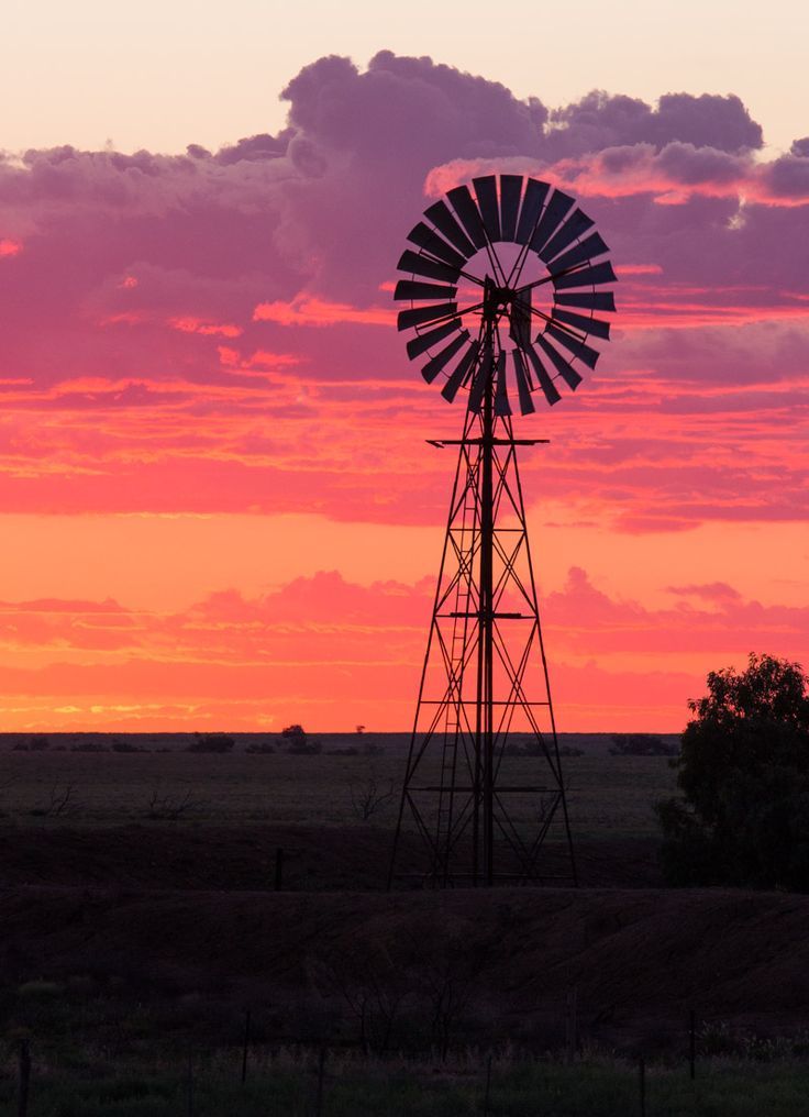 Experience A Family Road Trip To Outback Queensland Images