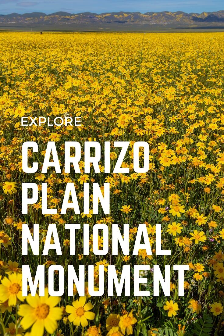Explore Carrizo Plain National Monument
