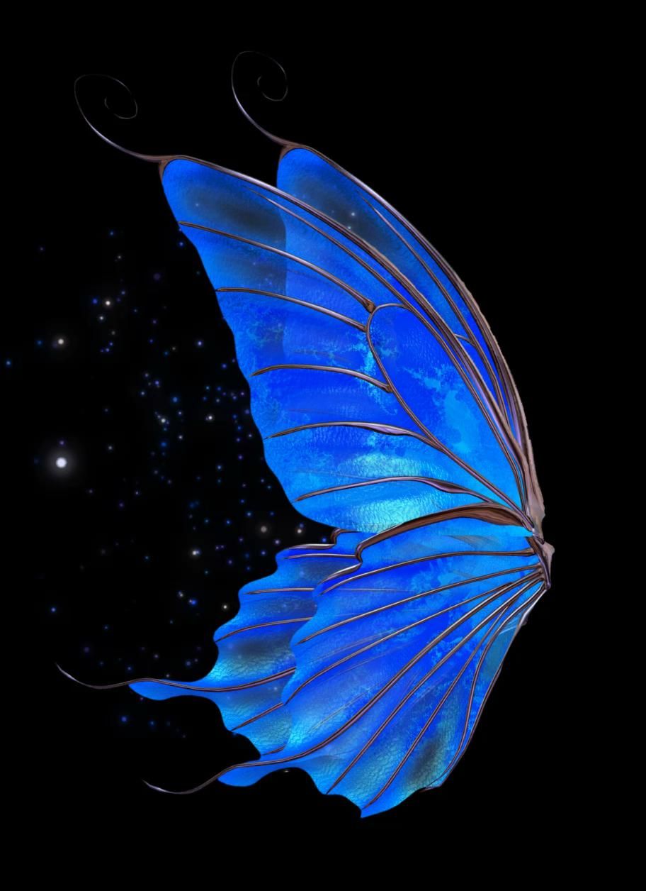 Fairy wings , fairy dust HD Wallpaper