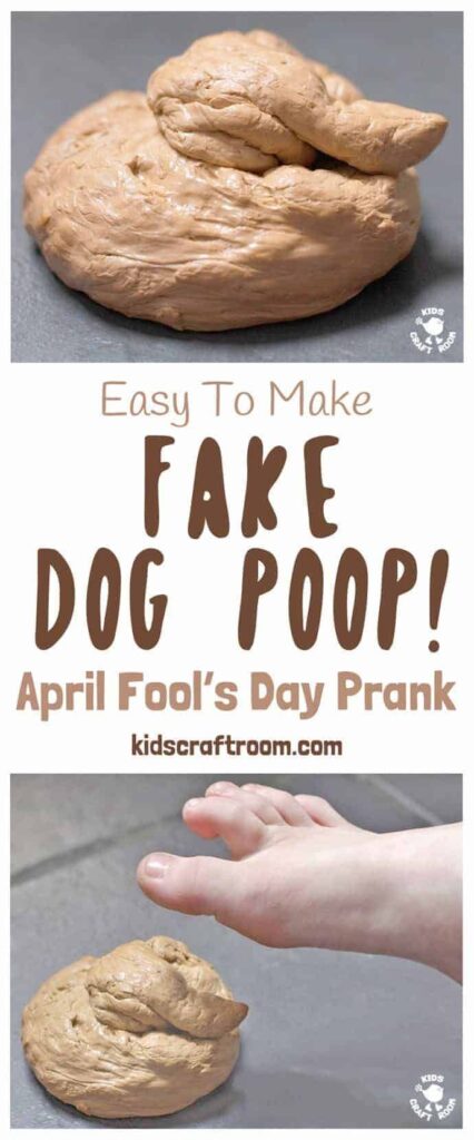 Fake Dog Poop Prank!
