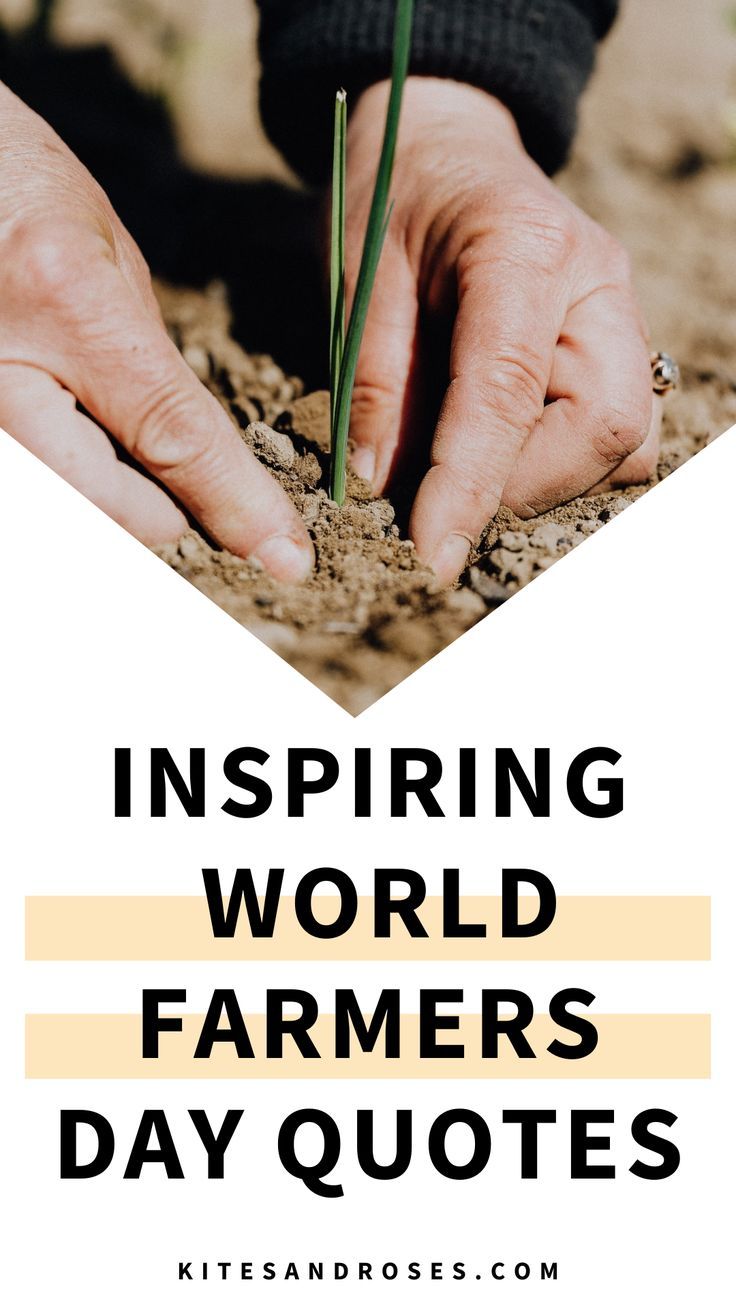 Farmers Day Quotes To Inspire Love For Land
