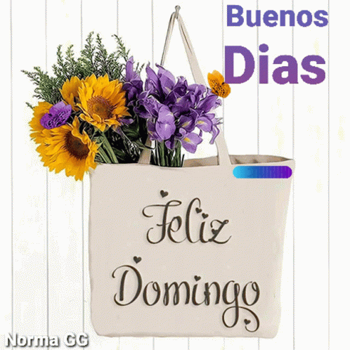 Feliz Domingo Happy Sunday Gif - Feliz Domingo Happy Sunday Buenos Dias - Discov