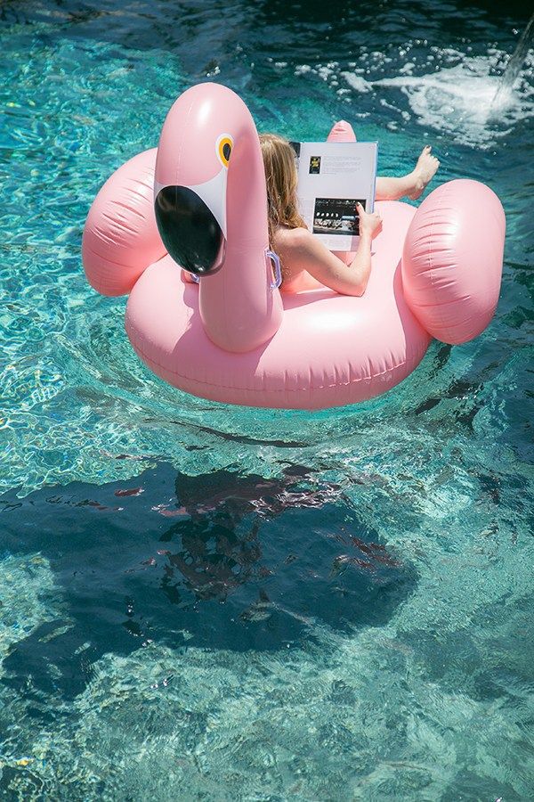 Flamingo Themed Pool Party Images