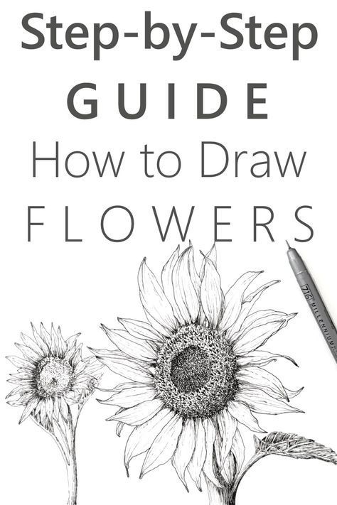 Flower Drawings Images