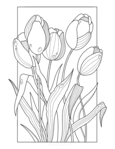 Free Flower Coloring Pages for Kids , Adults HD Wallpaper