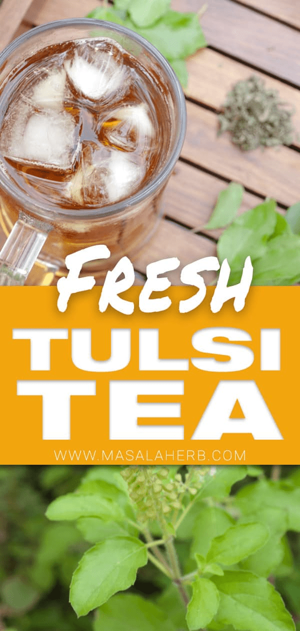 Fresh Tulsi Tea , Holy Basil [How to] | Masala