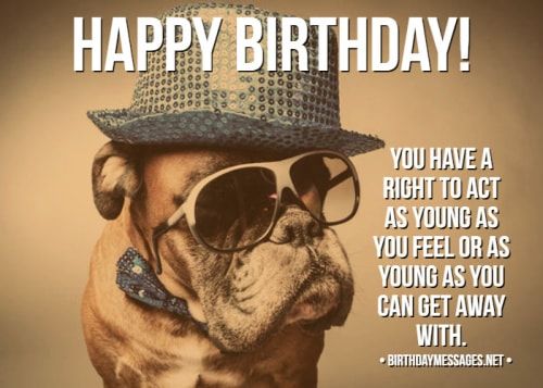 Funny Birthday Wishes &Amp; Quotes: Funny Birthday Messages