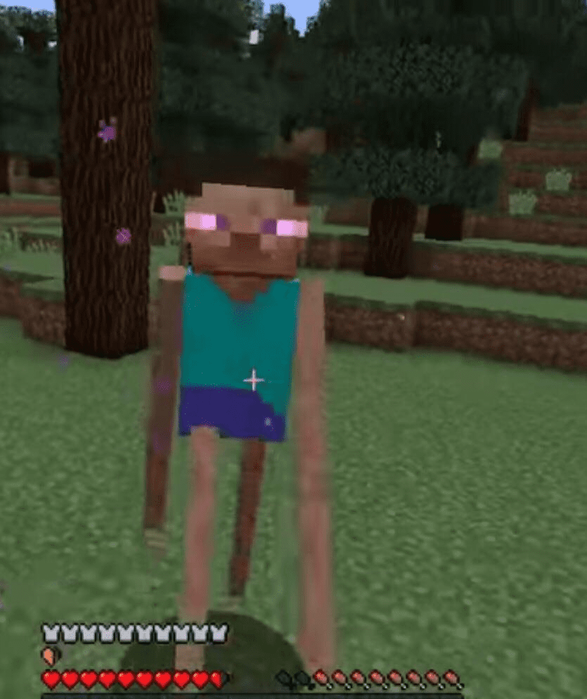 Funny/Cursed Minecraft Images