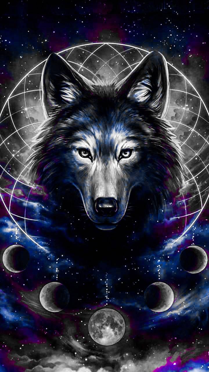 GALAXY WOLF wallpaper by 40888 - Download on ZEDGE™ | 6045