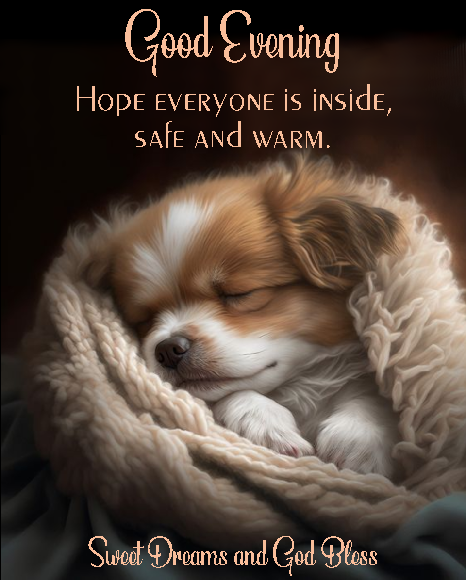 Good Evening. Hope everyone is inside, safe and warm. Sweet dreams and God bless