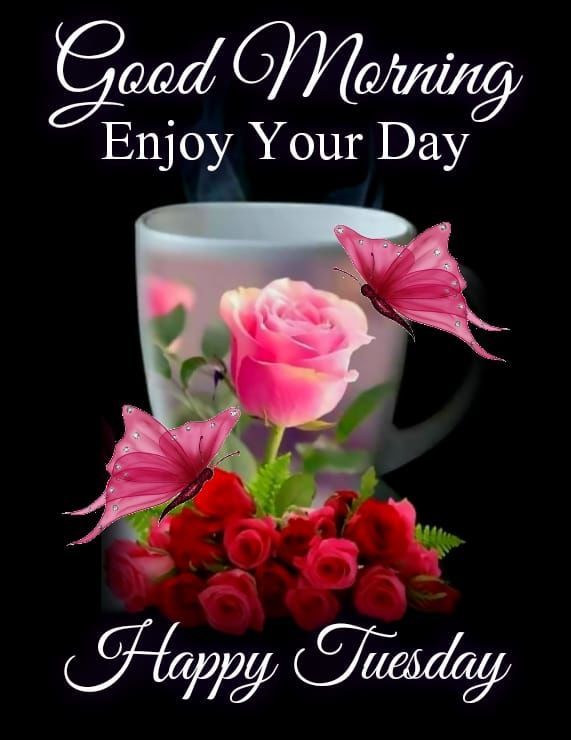 Good Morning, Enjoy Your Day &Amp; Happy Tuesday