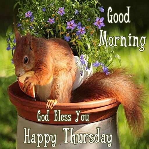 Good Morning God Bless You Happy Thursday Images