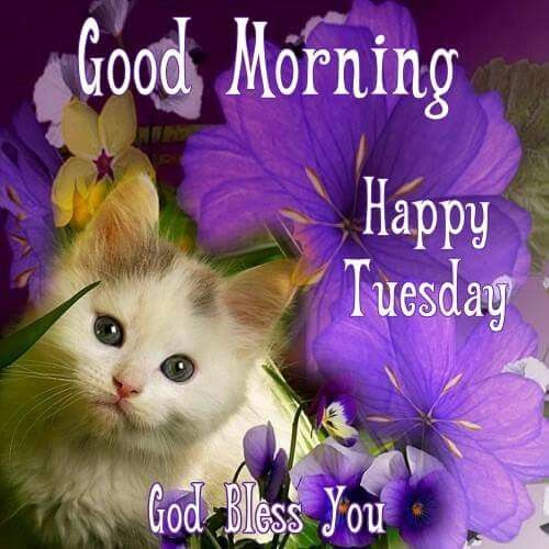 Good Morning, Happy Tuesday God Bless HD Wallpaper