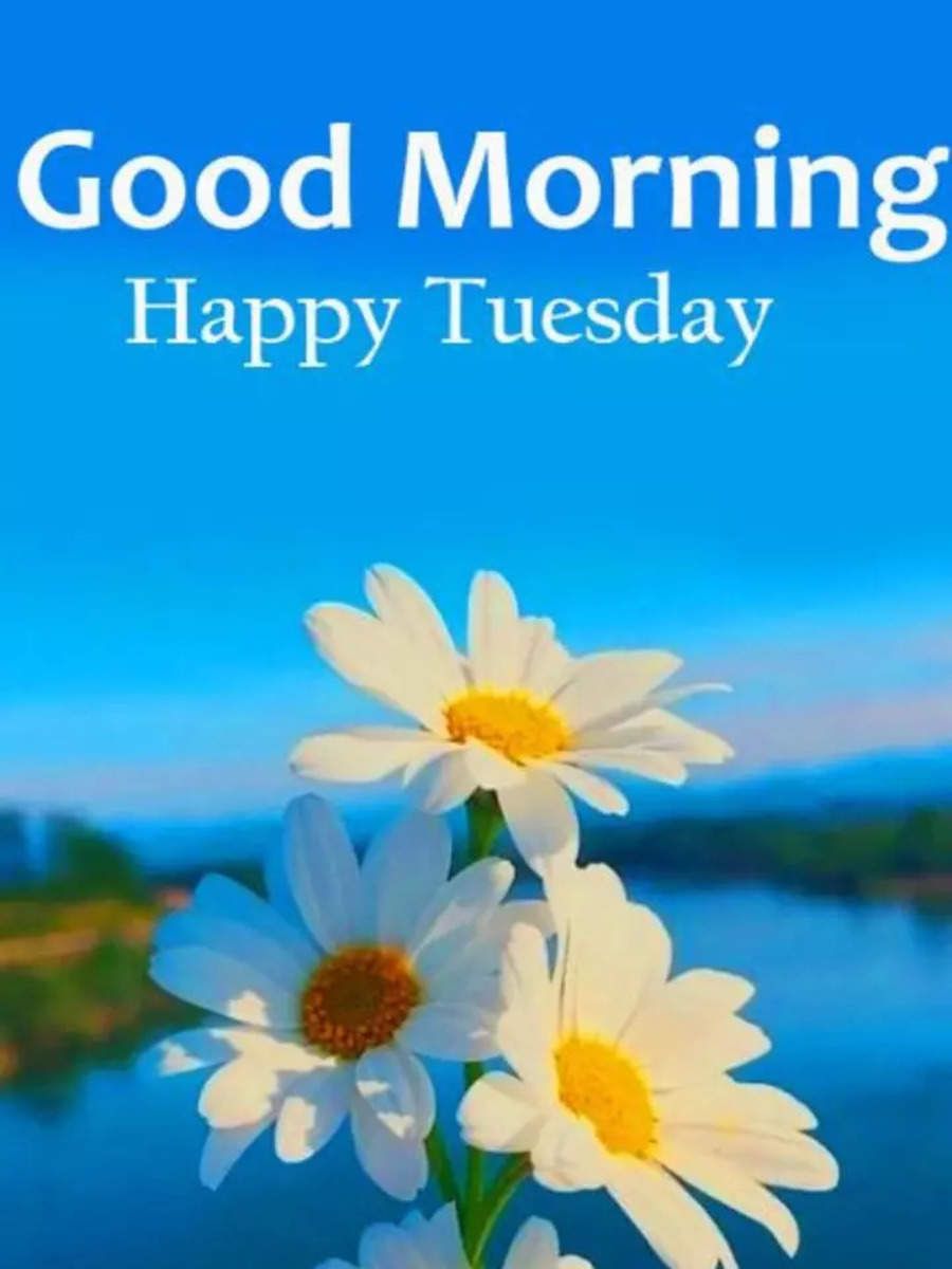 Good Morning Happy Tuesday: Wishes, images and quotes for WhatsApp
