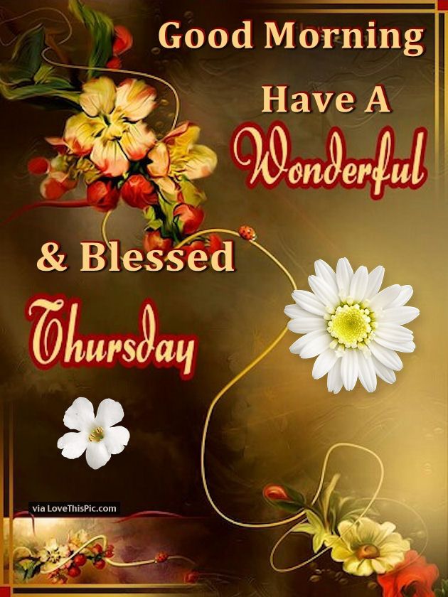 Good Morning Have A Wonderful And Blessed Thursday