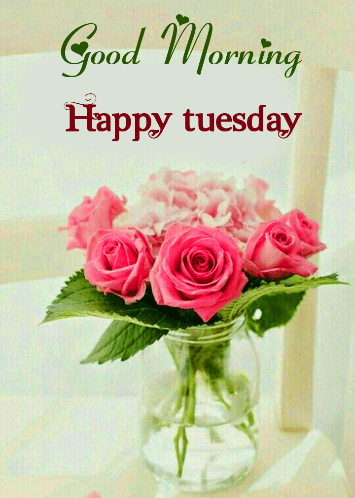 Good Morning Tuesday Quotes - Morning Wishes For Tuesday