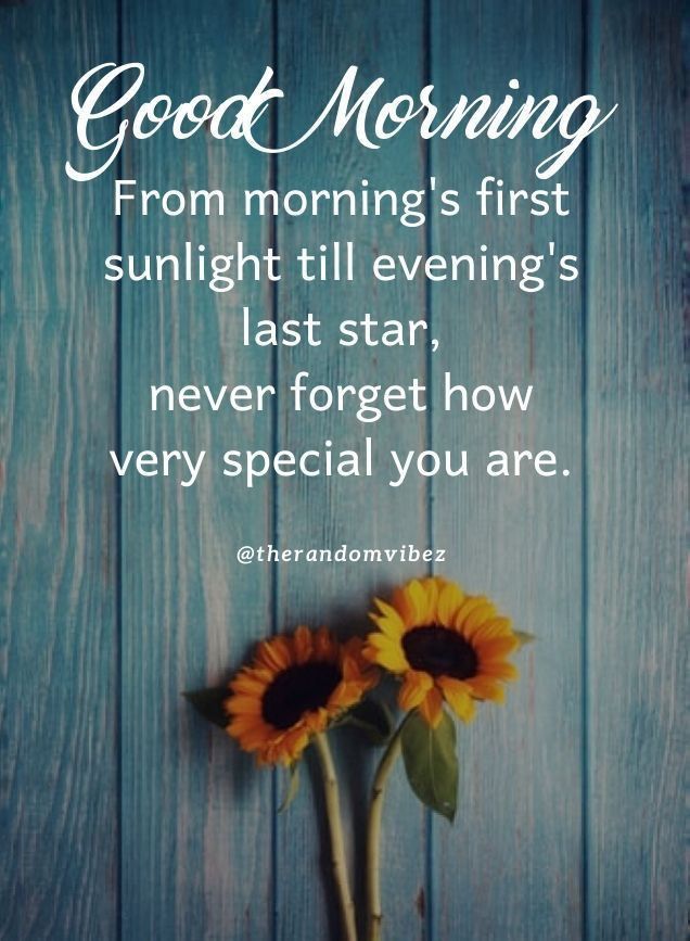 Good Morning WhatsApp Status Quotes Wishes and Images