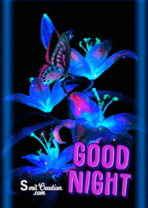 Good Night Butterfly Animated Gif HD Wallpaper