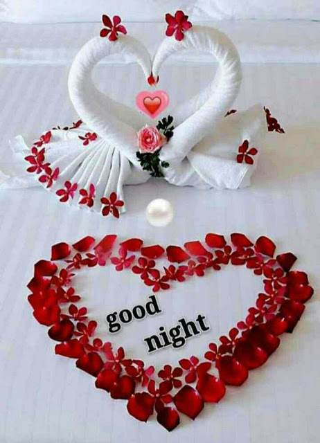 Good Night Images For Facebook 2023 || HD Good Night Images For Facebook || Best