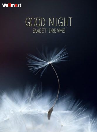 Good Night Images In English 5 Wpp1636899381766