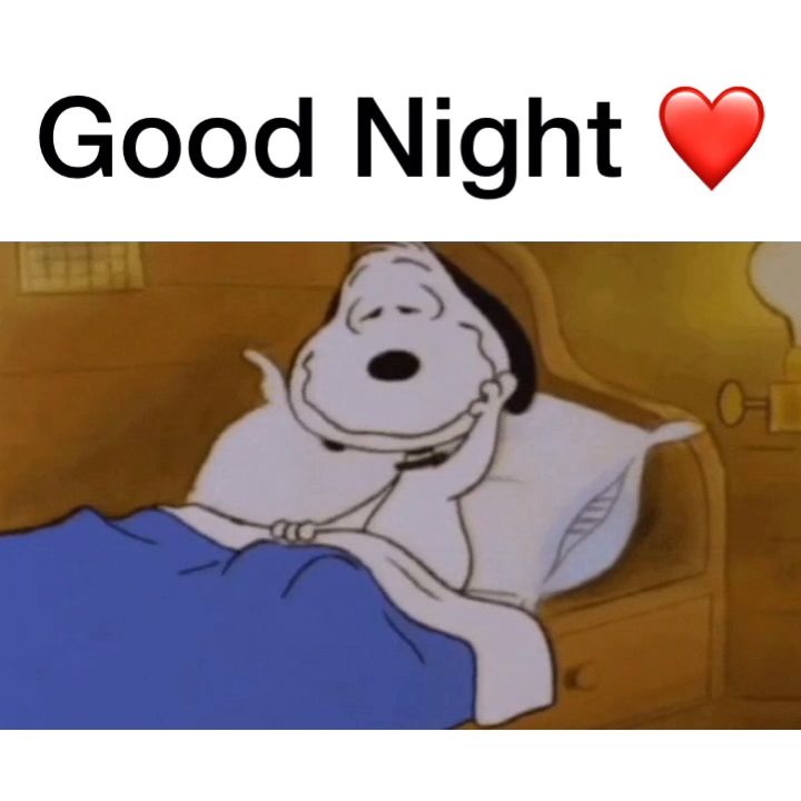 Good Night Snoopy - 🤩 Tap Visit Button For Magic