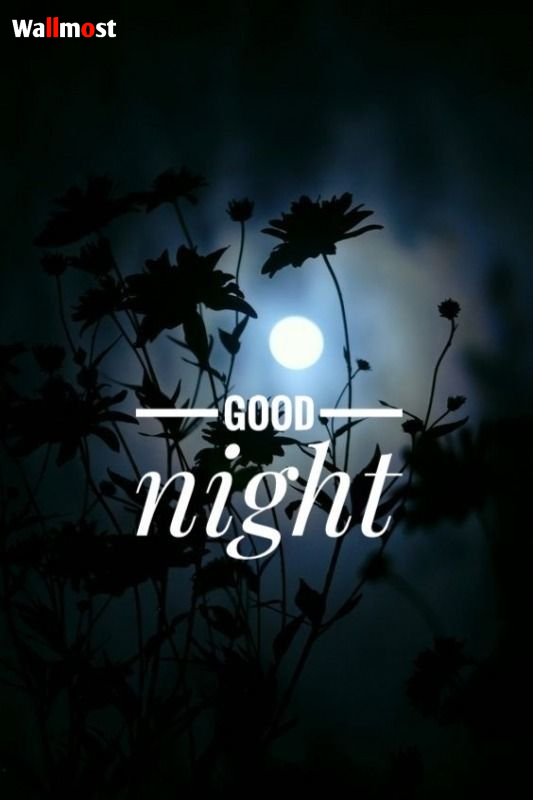Good Night Sweet Dream Images 4