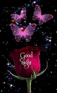 Good Night SweetHeart HD Wallpaper || Romantic Good Night SweetHeart HD Wallpaper || Good Ni HD Wallpaper