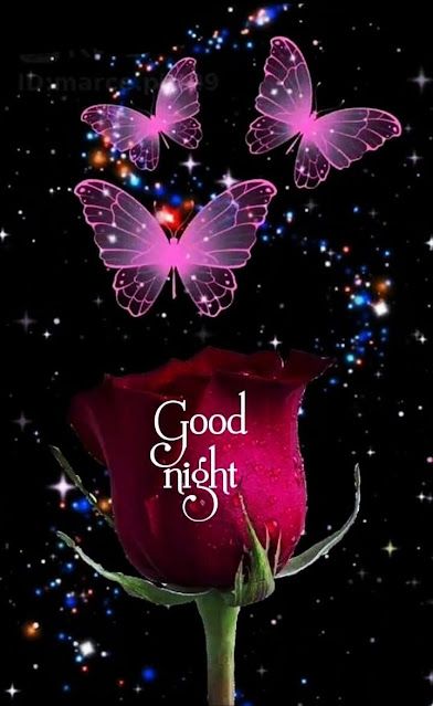 Good Night SweetHeart Images || Romantic Good Night SweetHeart Images || Good Ni