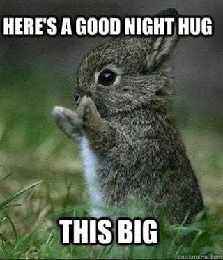 Goodnight All ~ Sweet Dreams!  - Here'S A Good Night Hug This Big - America’s