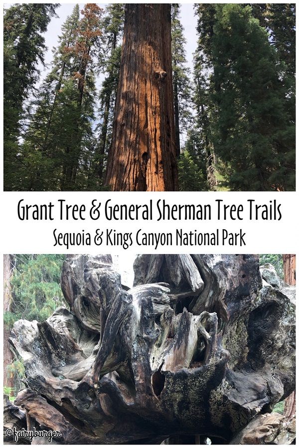 Grant Tree and General Sherman Tree Trails | fairyburger