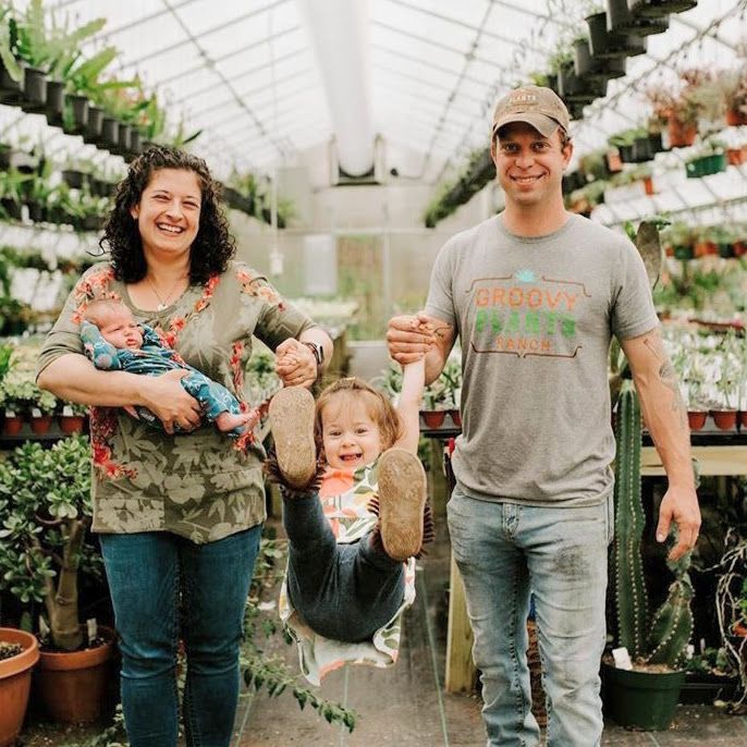 Groovy Plants Ranch: A Family Owned Greenhouse