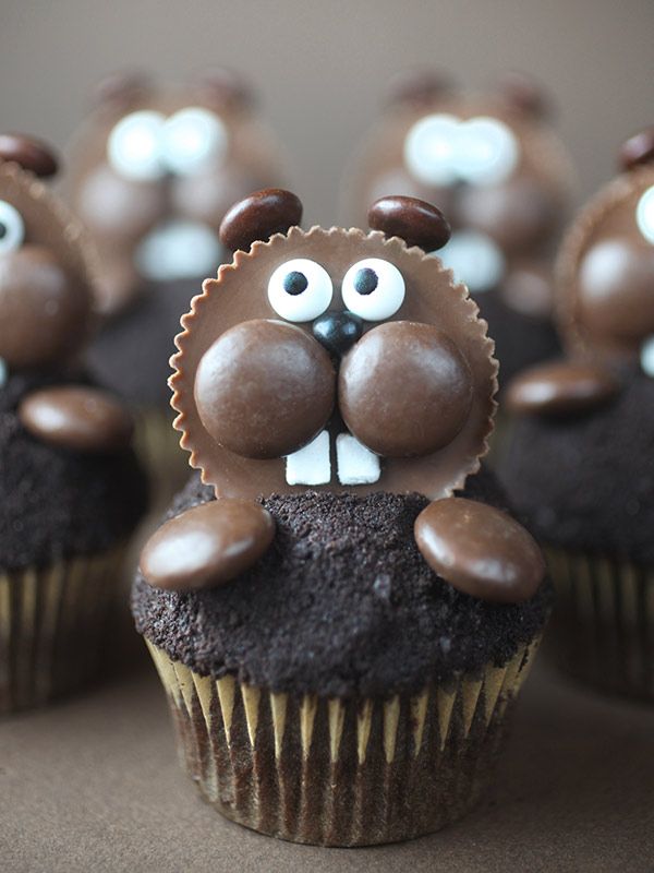 Groundhog Day Cupcakes - Bakerella