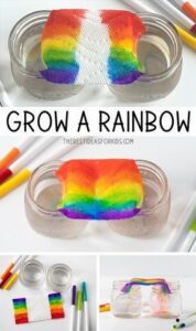 Grow a Rainbow Experiment , The Best Ideas for Kids HD Wallpaper