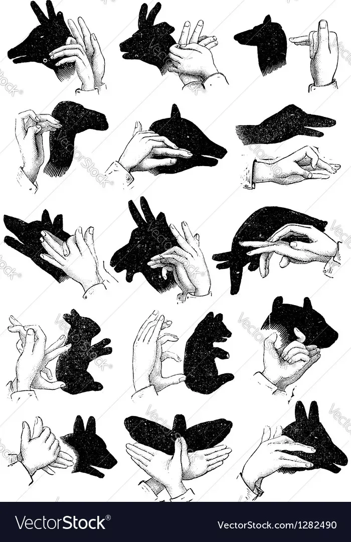 Hand shadow animals vector image on VectorStock