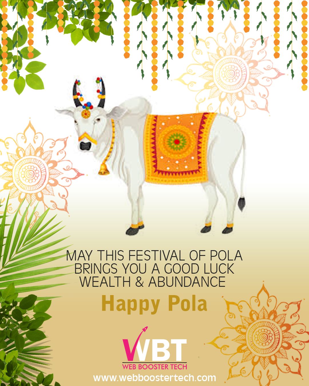 HAPPY POLA from WBT