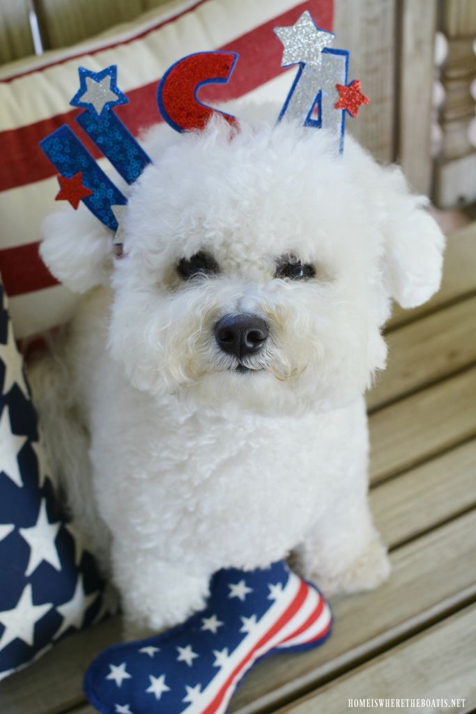 Happy 4Th Of July From Lola Images