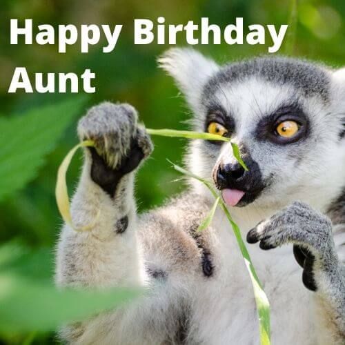 Happy Birthday Aunt Meme