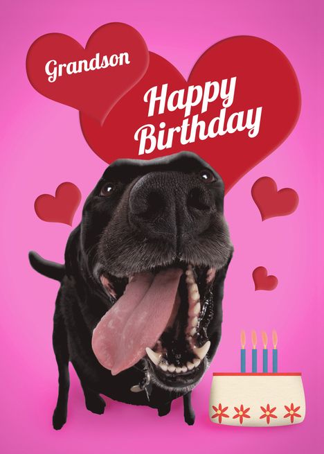 Happy Birthday Grandson Cute Dog With Cake card
