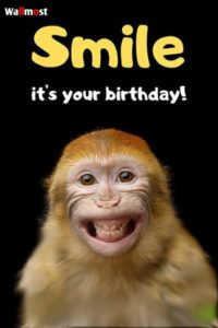 Happy Birthday Images Funny 1 Wpp1636609008260