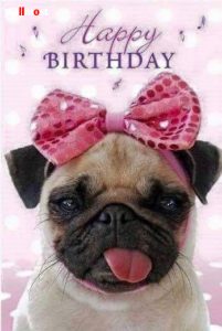 Happy Birthday Images Funny 4